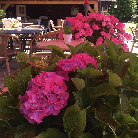 Boerderijcamping Plantlust Veere Εξωτερικό φωτογραφία