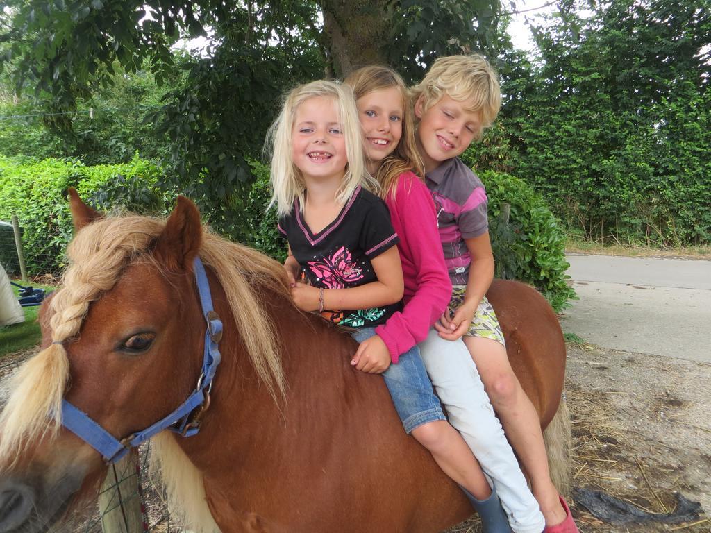 Boerderijcamping Plantlust Veere Δωμάτιο φωτογραφία