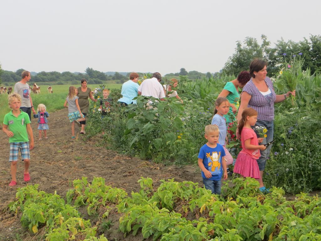 Boerderijcamping Plantlust Veere Δωμάτιο φωτογραφία