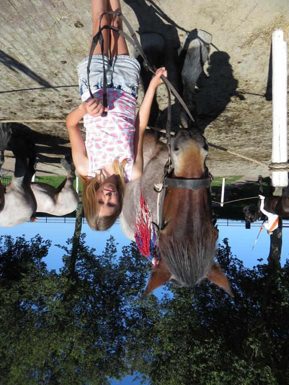 Boerderijcamping Plantlust Veere Εξωτερικό φωτογραφία
