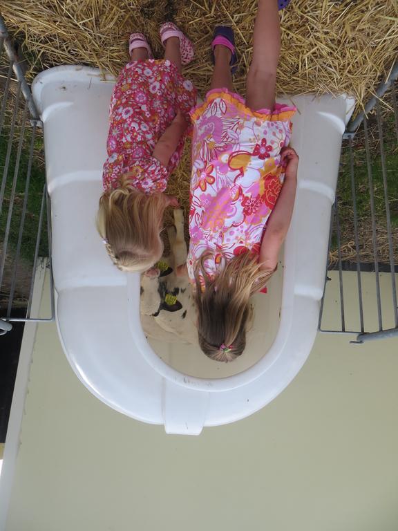 Boerderijcamping Plantlust Veere Εξωτερικό φωτογραφία